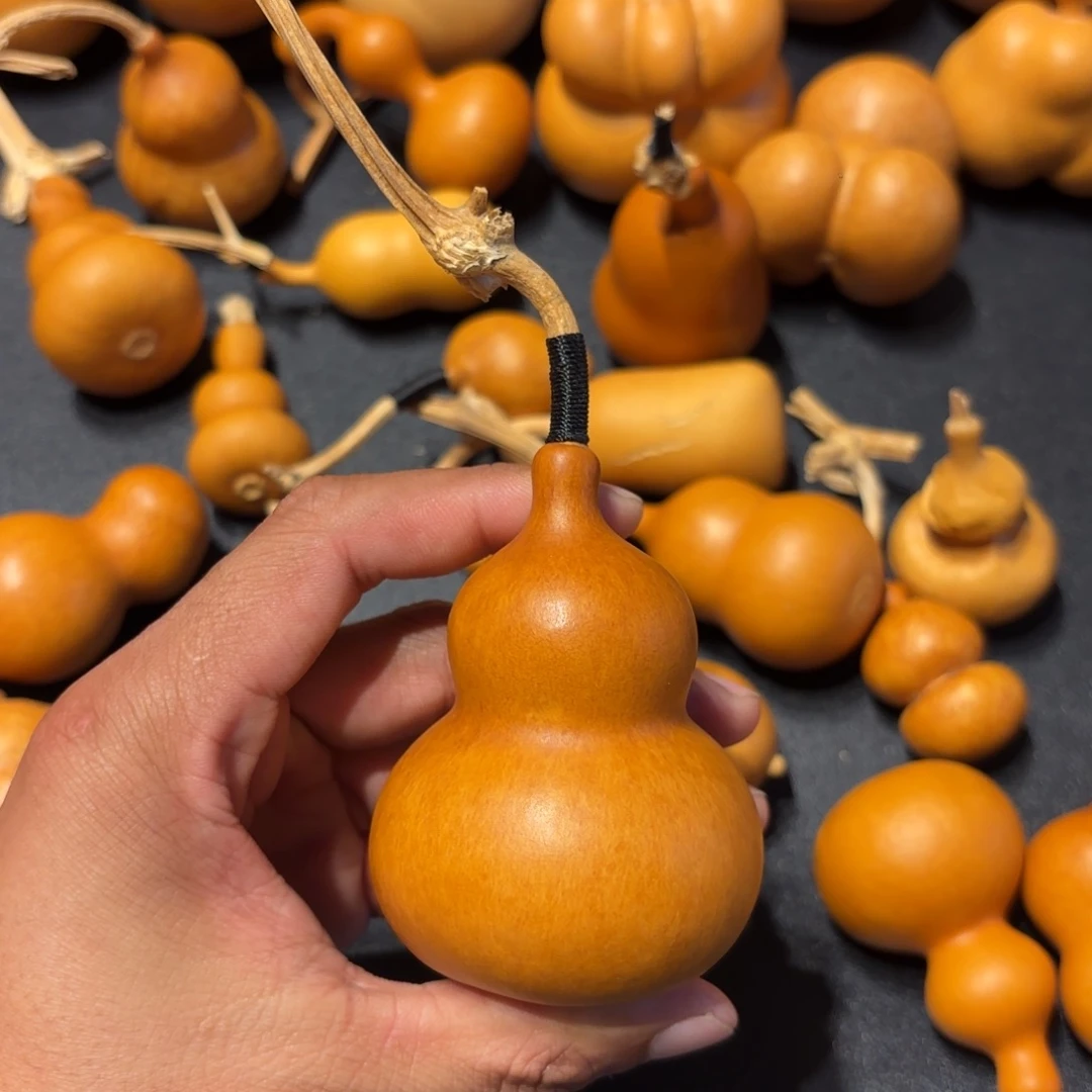 大***飞葫芦8888888888888888