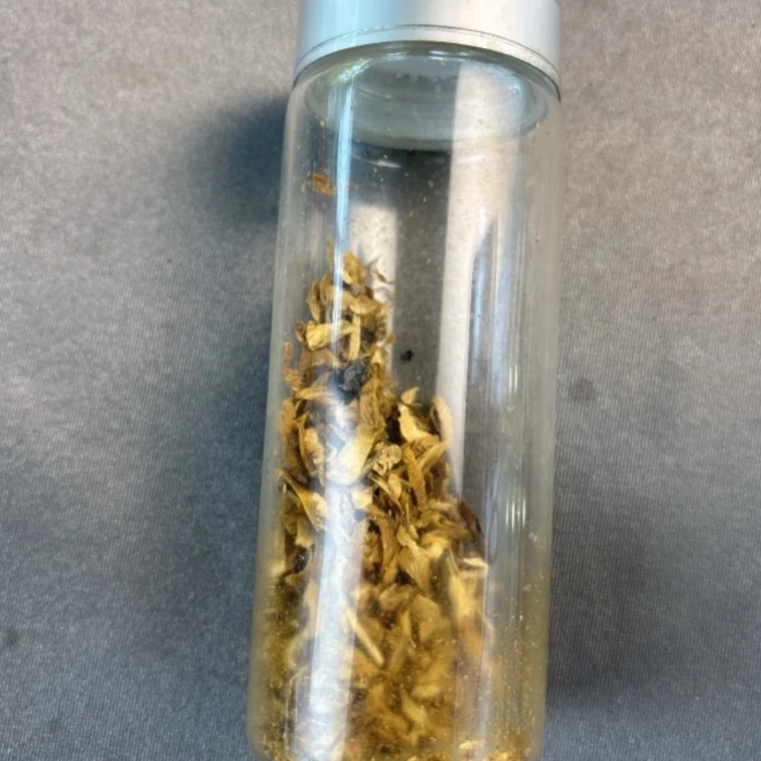 沉香福利款1.2圆珠单圈沉水原材料多样性发一