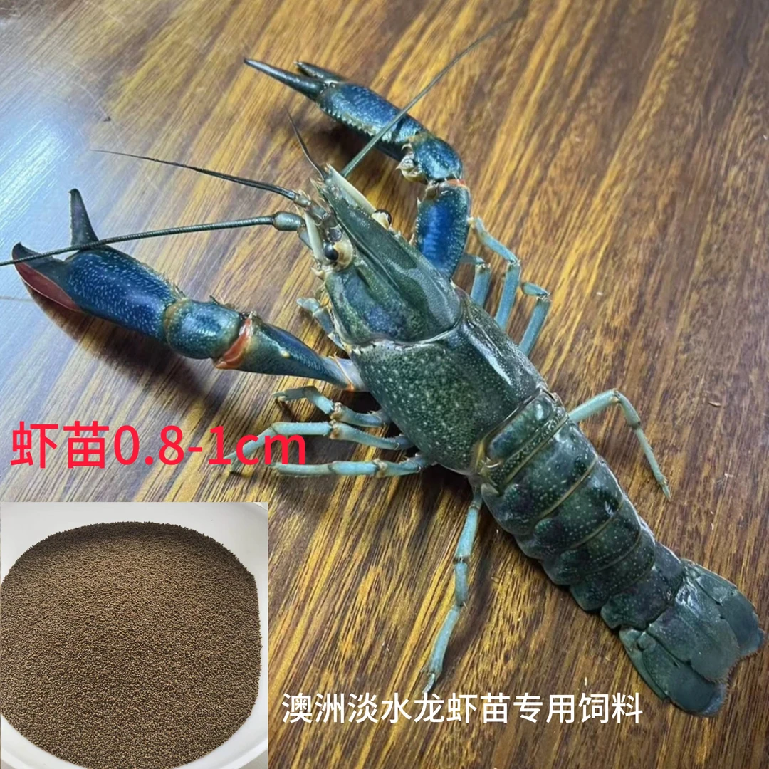 澳洲淡水小龙虾饲料 蓝龙虾饲料 澳洲小青龙虾饲料水族观赏宠物