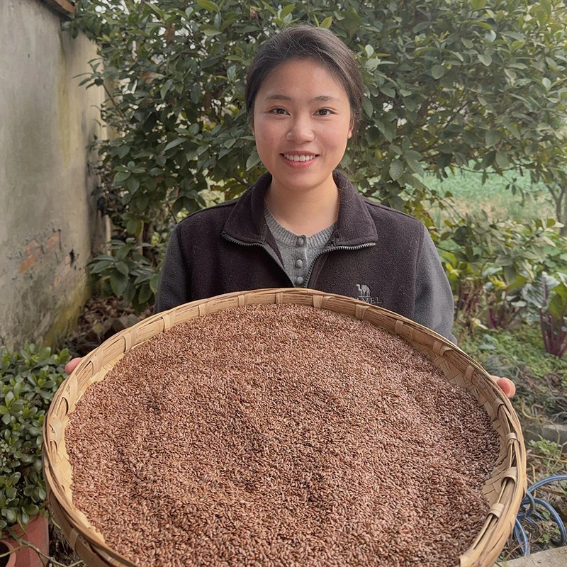 【赵幺妹代卖】亚麻籽 半斤装 生的 农家好货