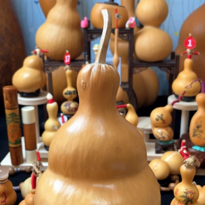 贤*葫芦丝独奏演员演技还是那么