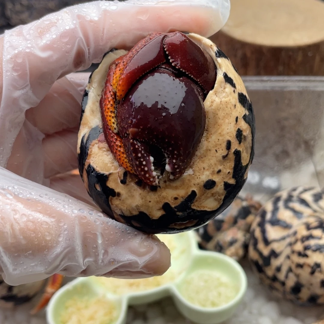 F***_fion拍好看好看好看