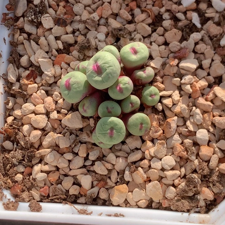 7899999898888888888888