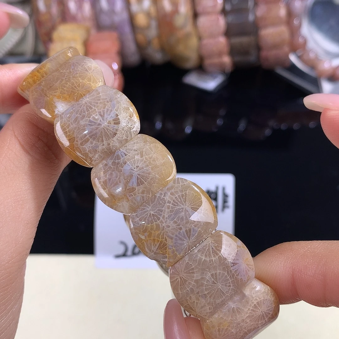 硅化珊瑚（珊瑚玉）未镶嵌吊坠(赠链)13号手排200漏128