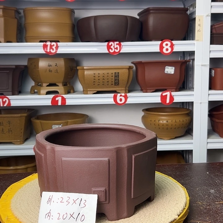 花盆紫砂蛇年大吉