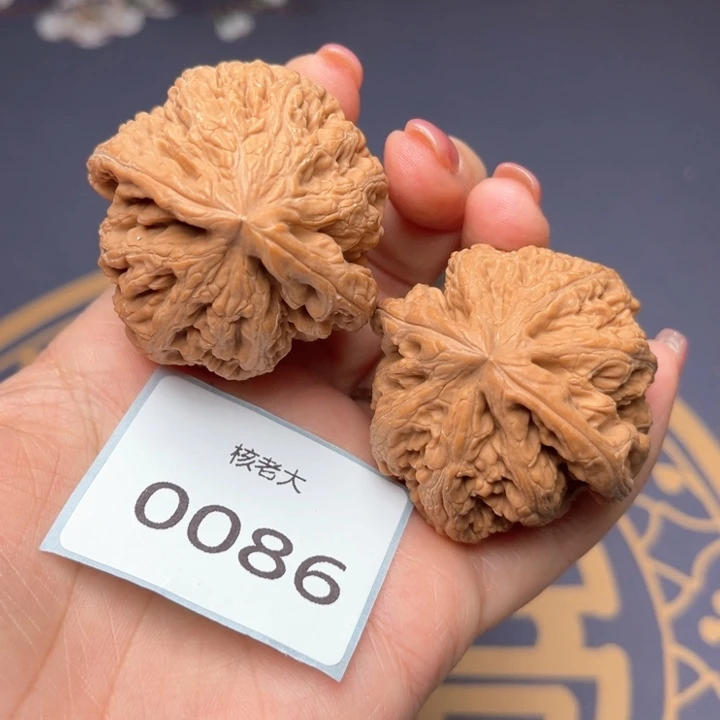 文玩核桃把件44大粗筋