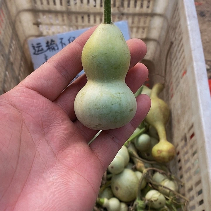 建*哈哈哈哈哈哈哈哈哈