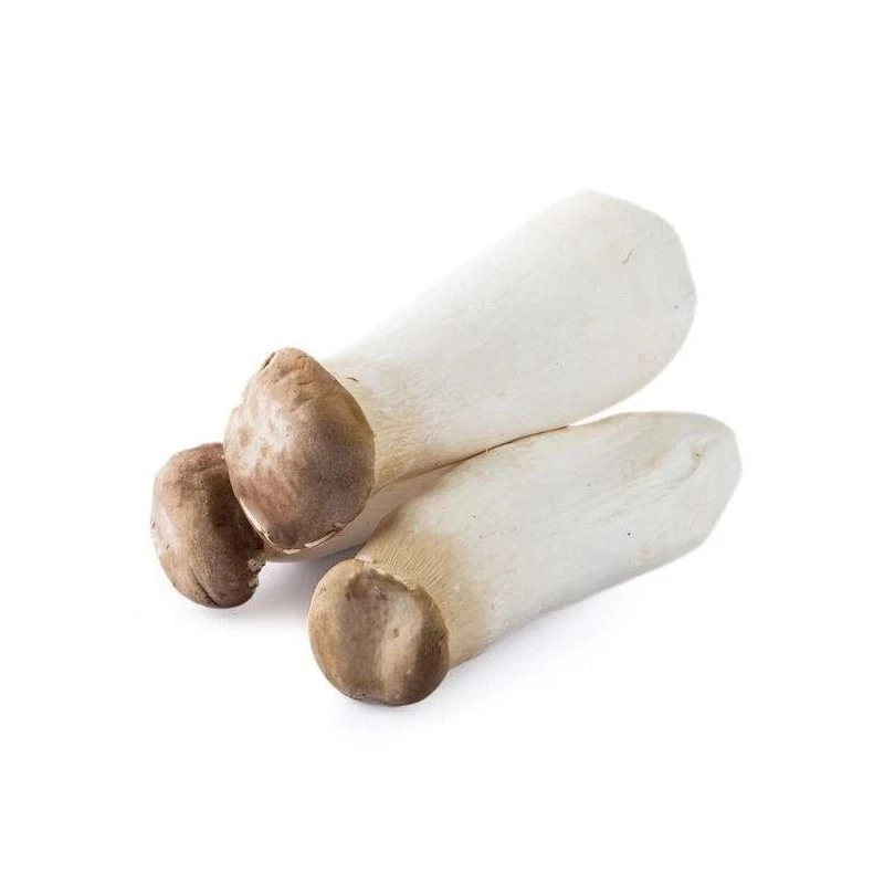 优选杏鲍菇 约250g