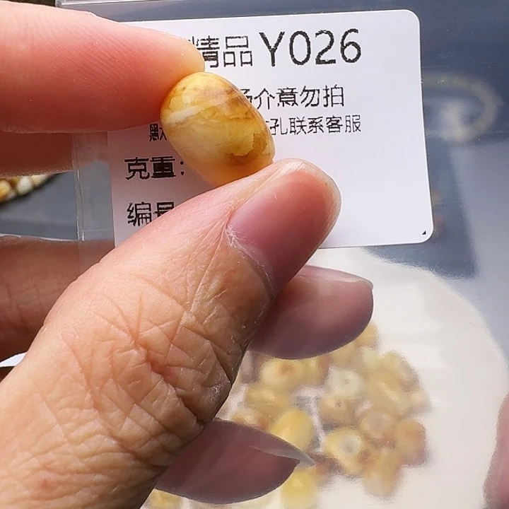 裸石琥珀未镶嵌琥珀