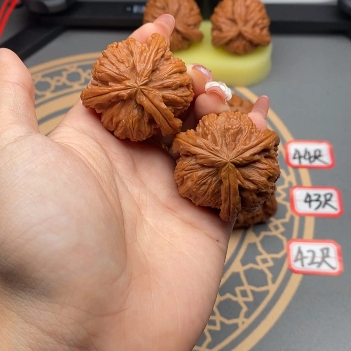 把件文玩核桃越**好40尺白狮子三棱