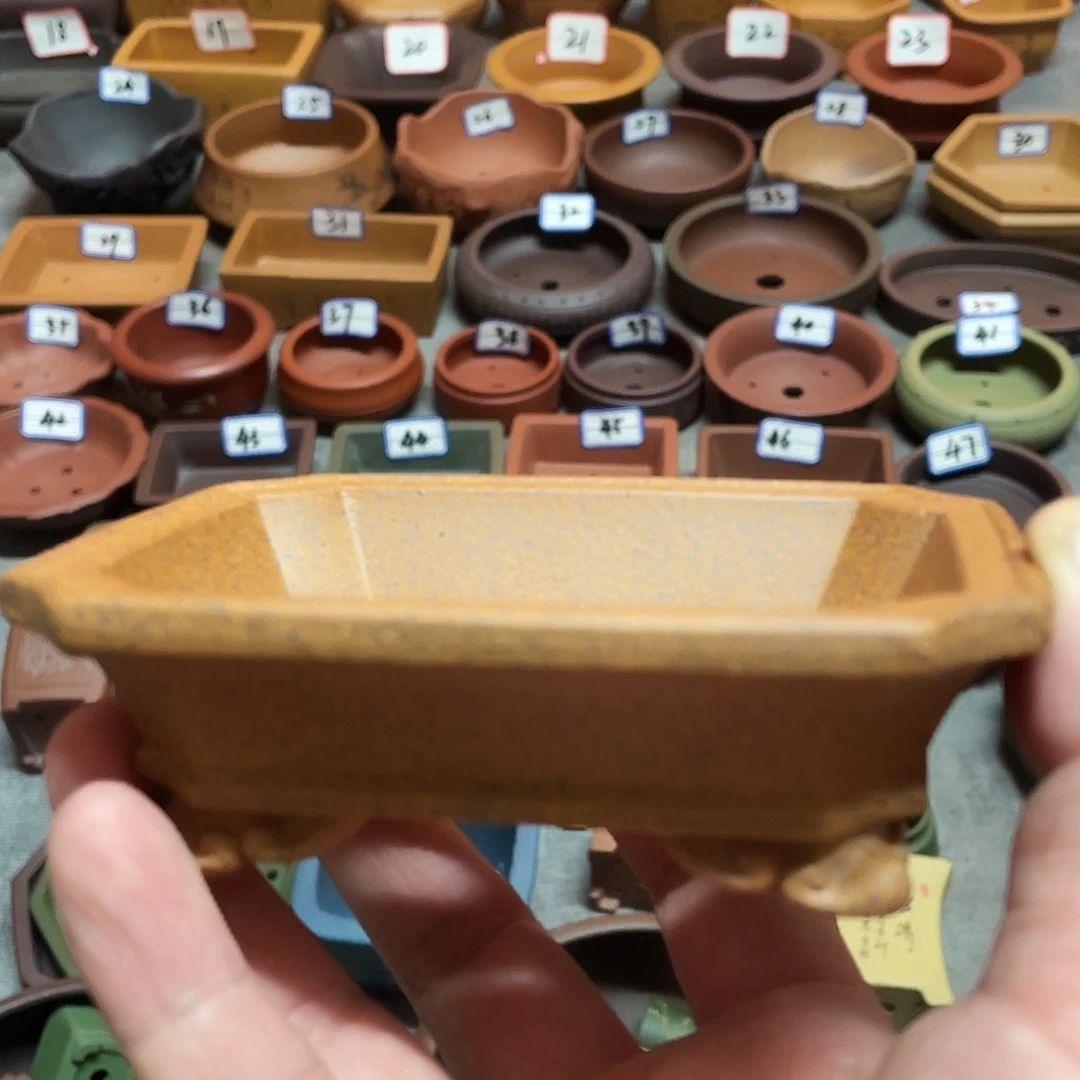 紫砂小盆9*6*2cmmmmm