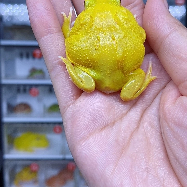 特价秒杀现货特价