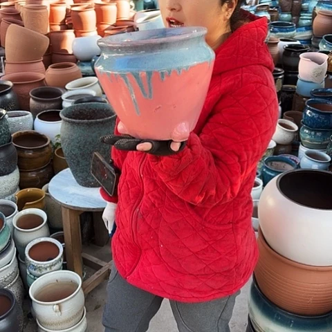 口20高20瑕疵一个盆子。