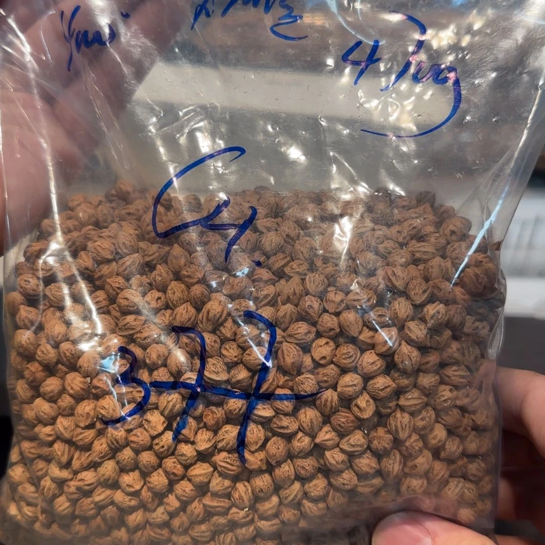 柏香籽/百香籽吊坠大*啊C4