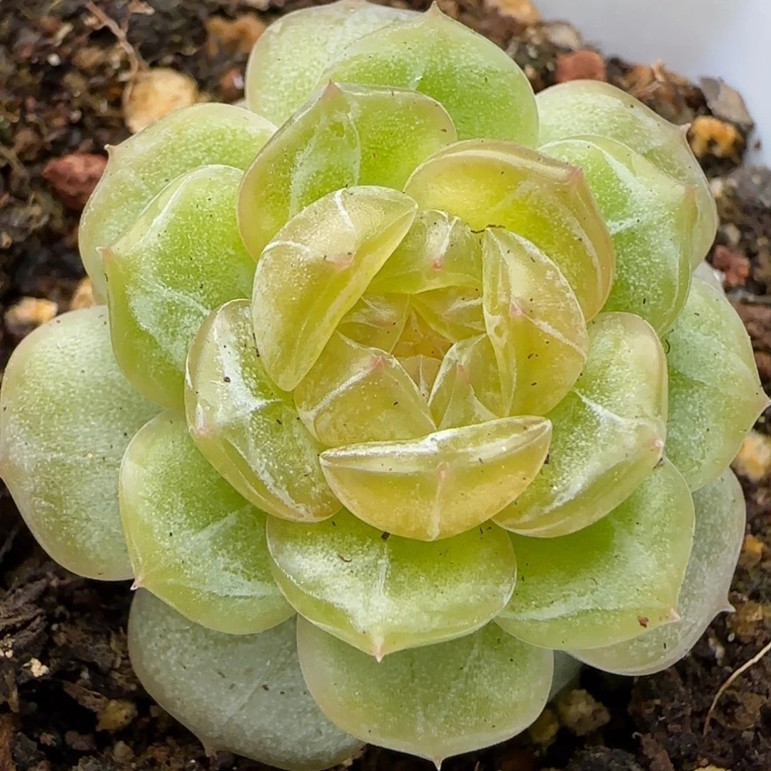 随***行【满29包邮非偏远】091