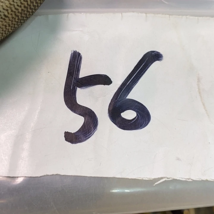 等***待娜娜文玩杂项专属链接