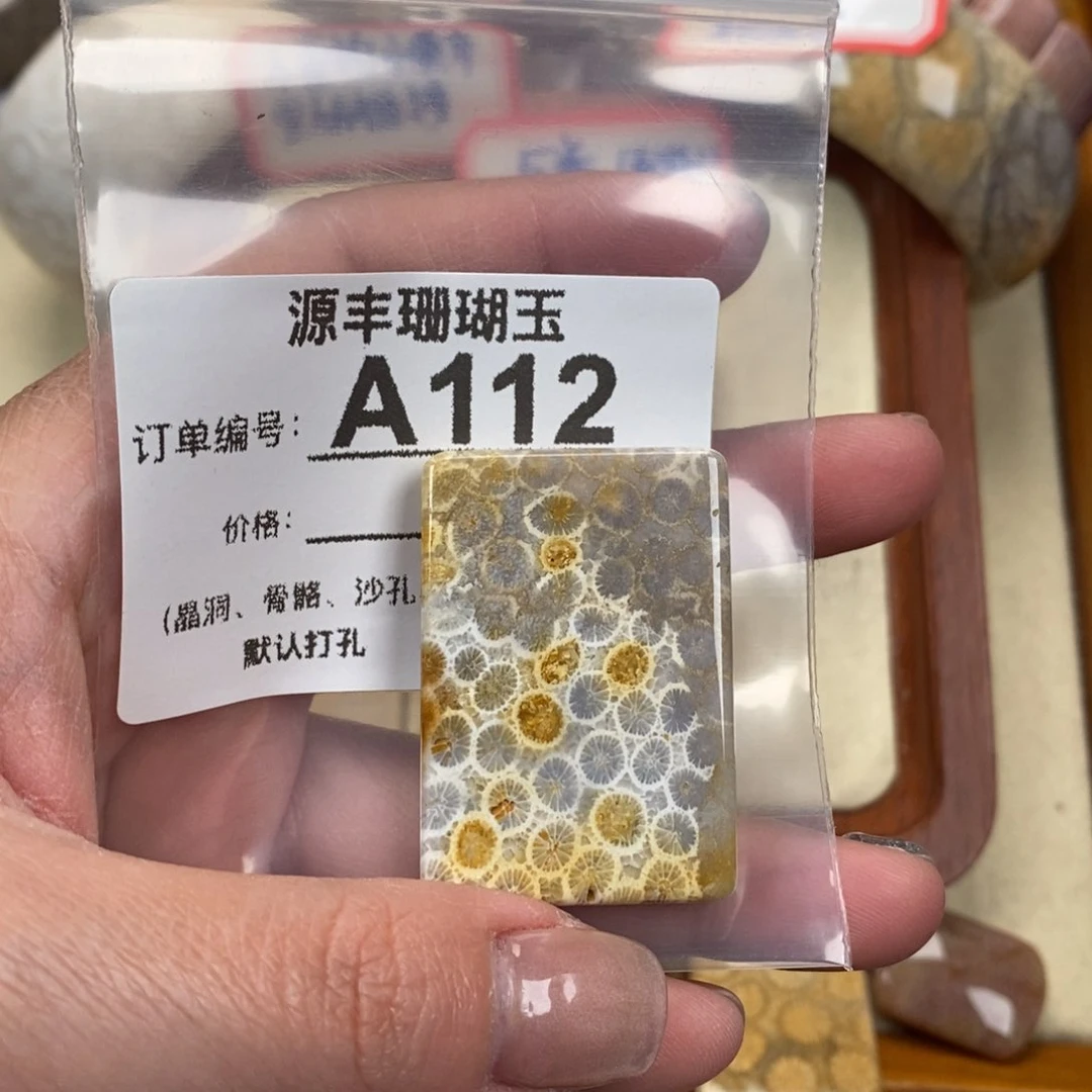 硅化玉颈饰未镶嵌戴*