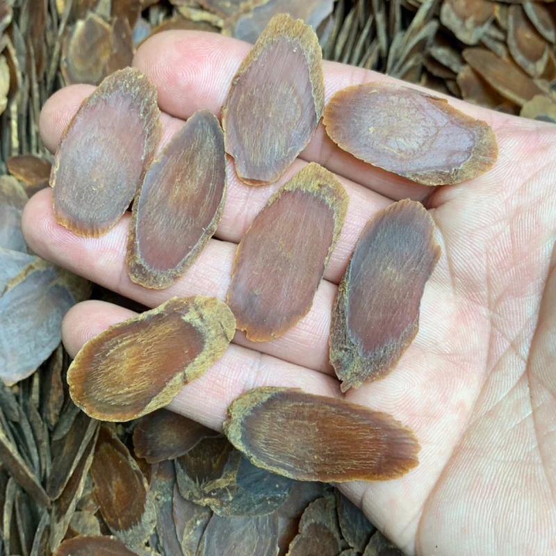 老红参片100g/250g/500g泡水煮汤滋补品东北特产包邮