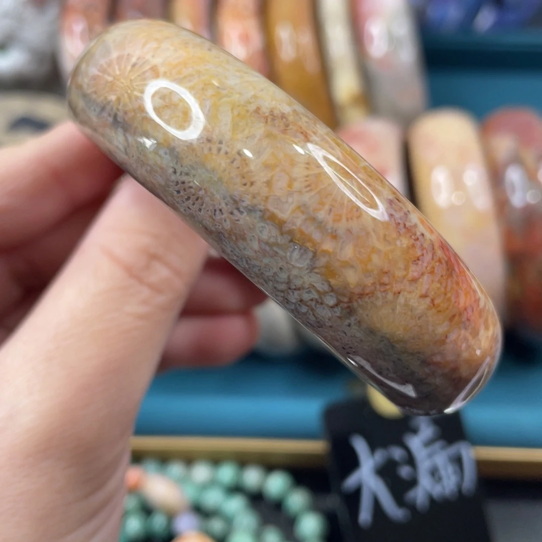 未镶嵌手镯硅化玉