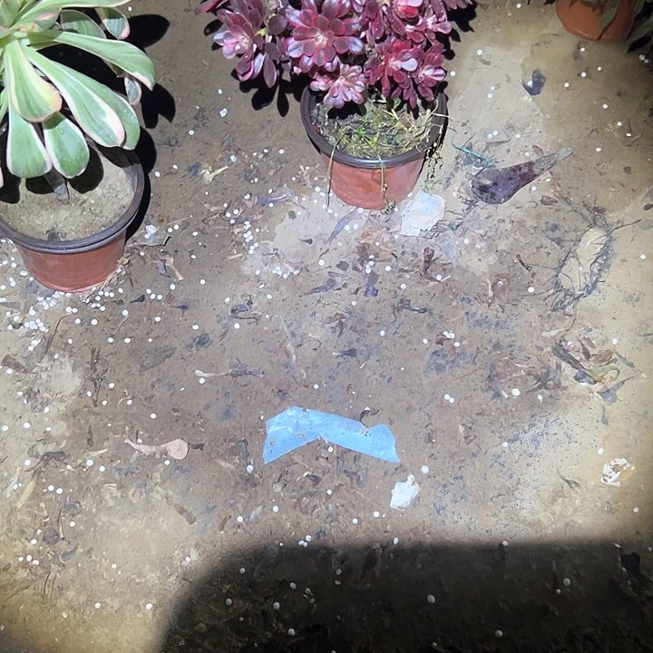 法师链接一物一拍15