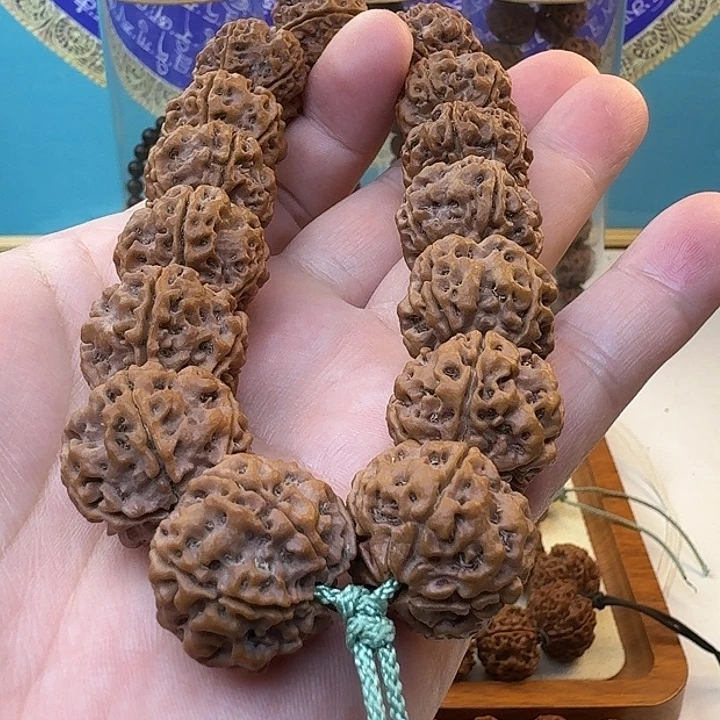金刚菩提手串原生态大金刚双龙