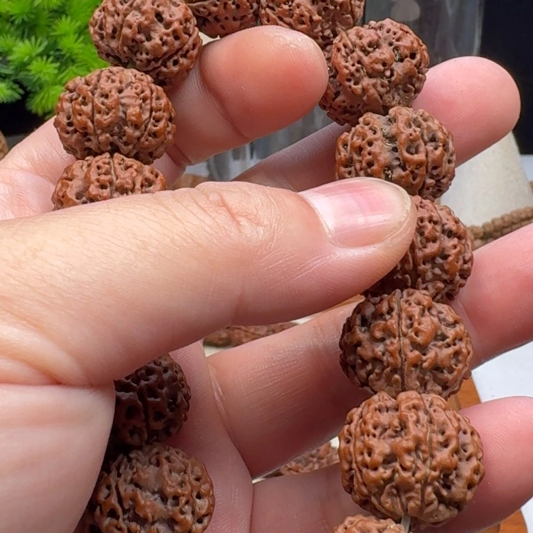 农***头手串金刚菩提双龙