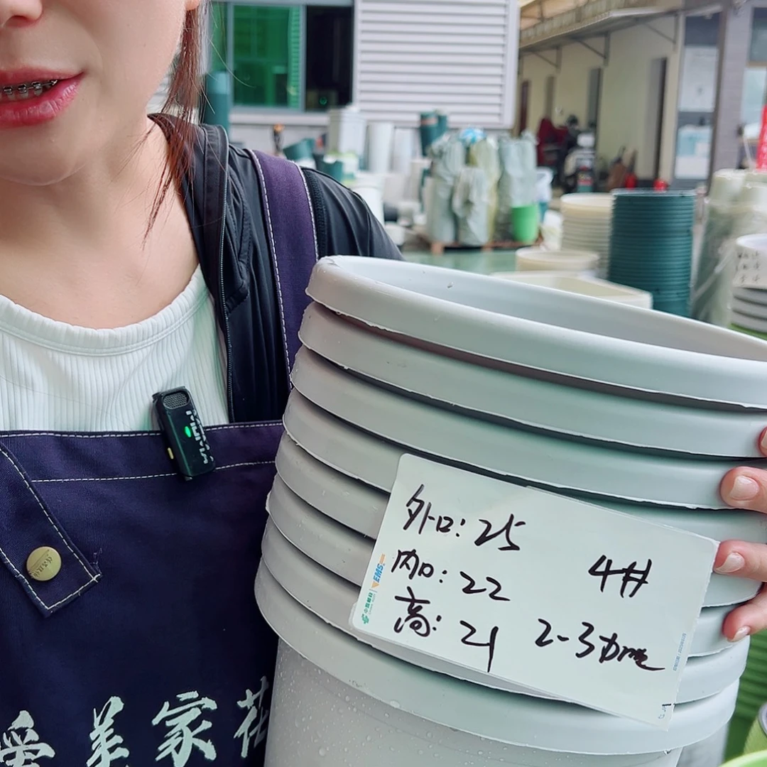 四季盆4#灰白8个无托