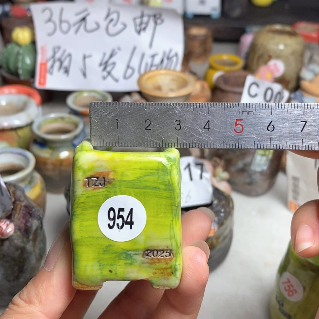 拍5送一个小礼物