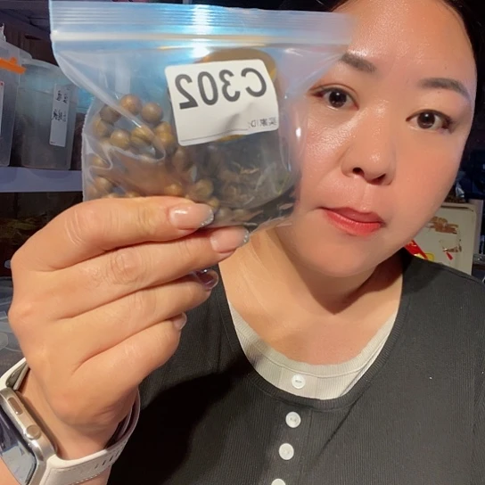 大果紫檀（缅甸花梨）用****0302