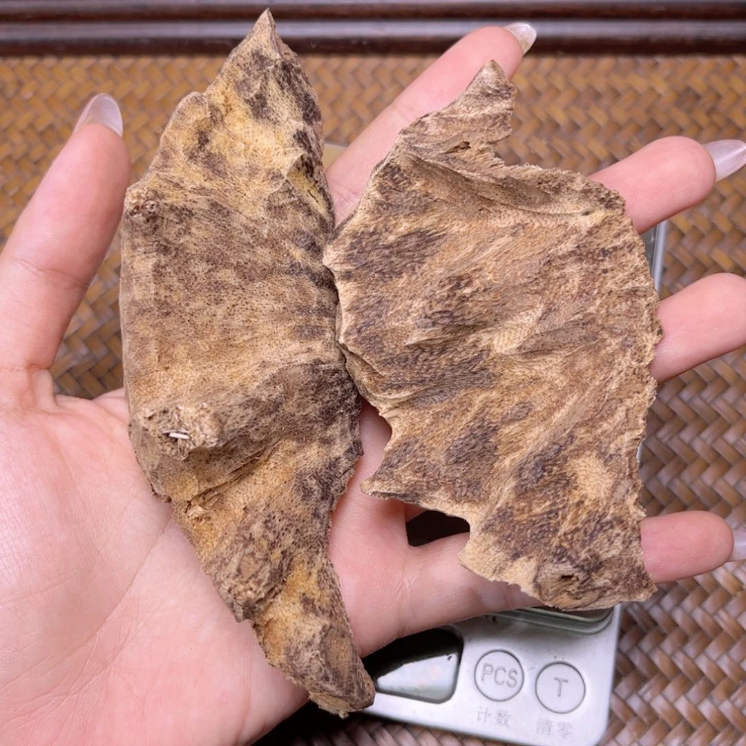 香榧木海南锯口香13克福利