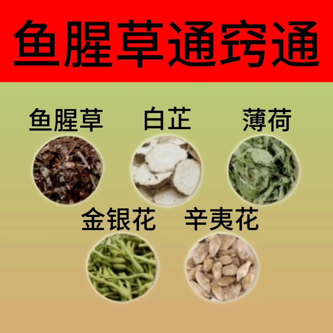 鱼腥草白芷薄荷辛夷花金银花组合中药材鱼腥草汤原料代客分小包