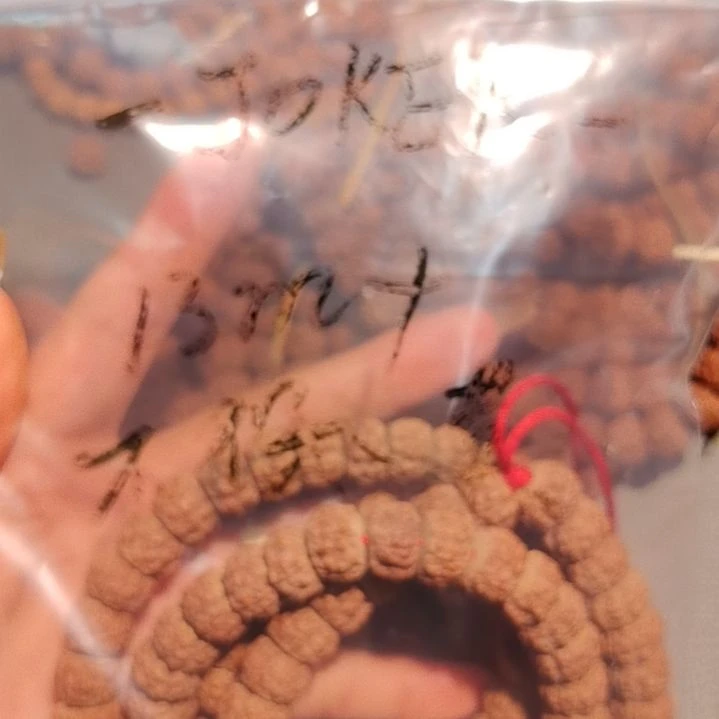 *****吊坠金刚菩提不保黄
