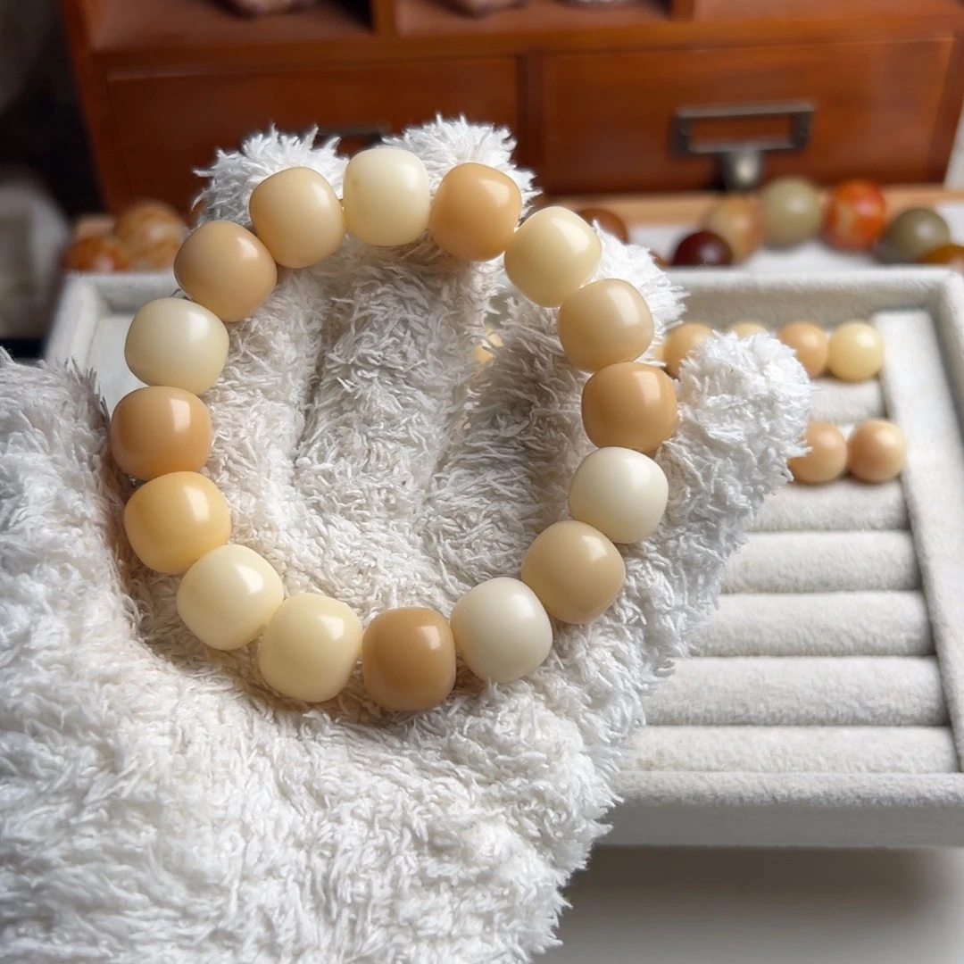 菩提根/象牙果吊坠卡15福利