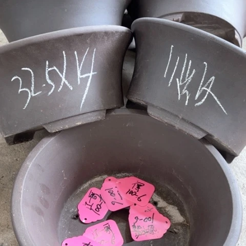 紫砂花盆100-6。     32.5-14微瑕