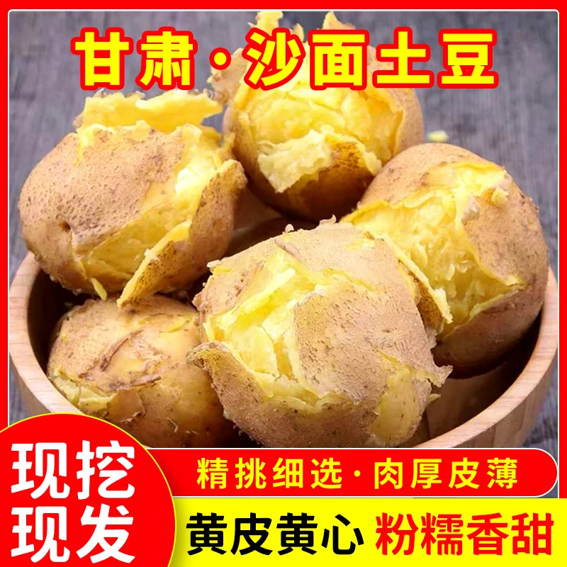 2025甘肃定西黄皮黄心土豆新鲜现挖沙糯粉面 包邮
