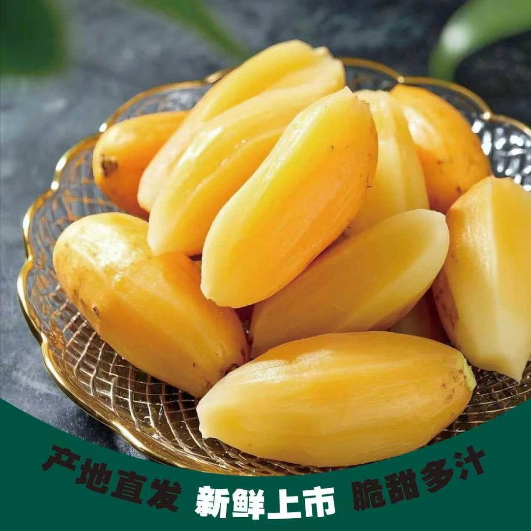 云南天山雪莲果圆果新鲜水果应当季孕妇多汁脆甜