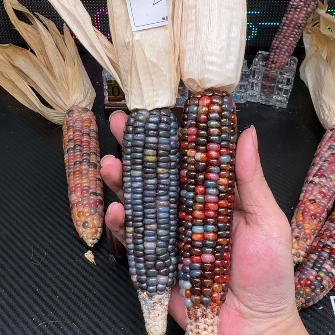 柏香籽/百香籽吊坠小**乖