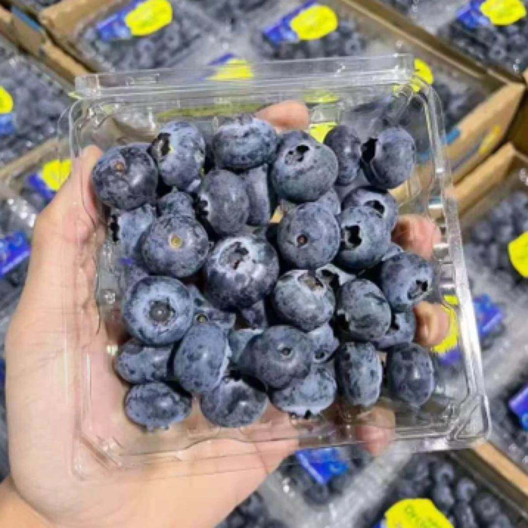 云南009纯甜怡颗莓蓝莓一盒