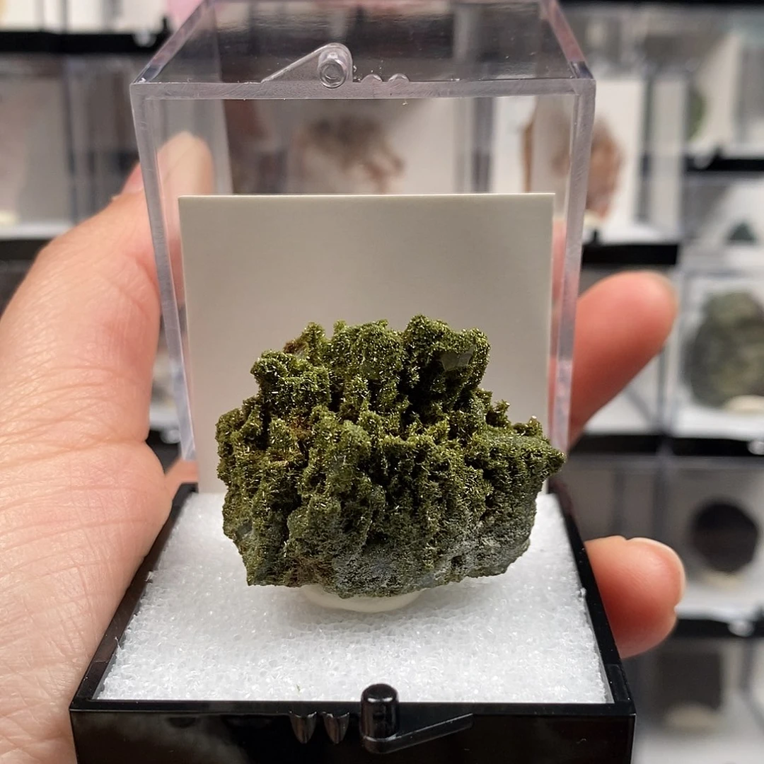 —***—有机玻璃直播间一个一个