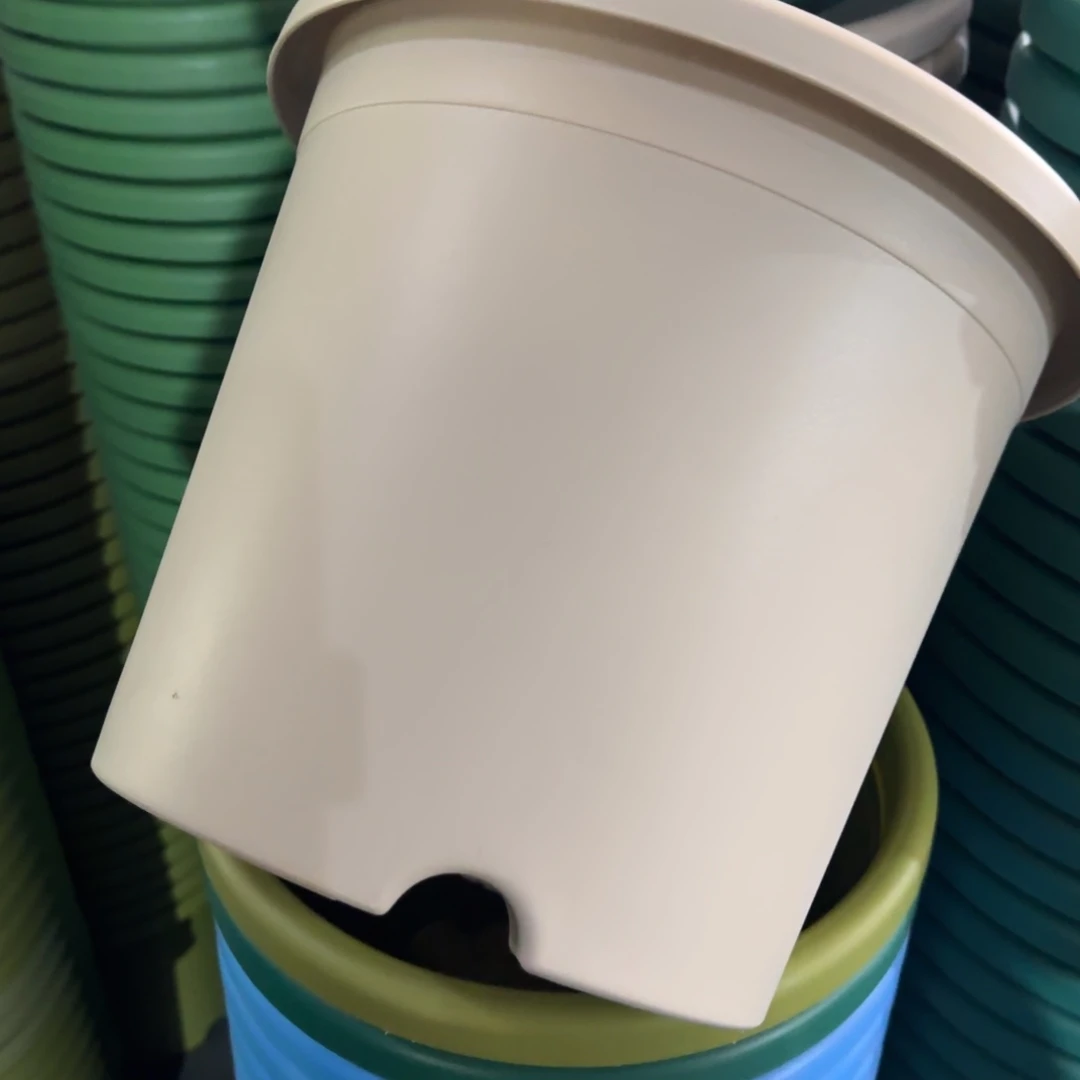 树脂特价5#无拖灰白6个