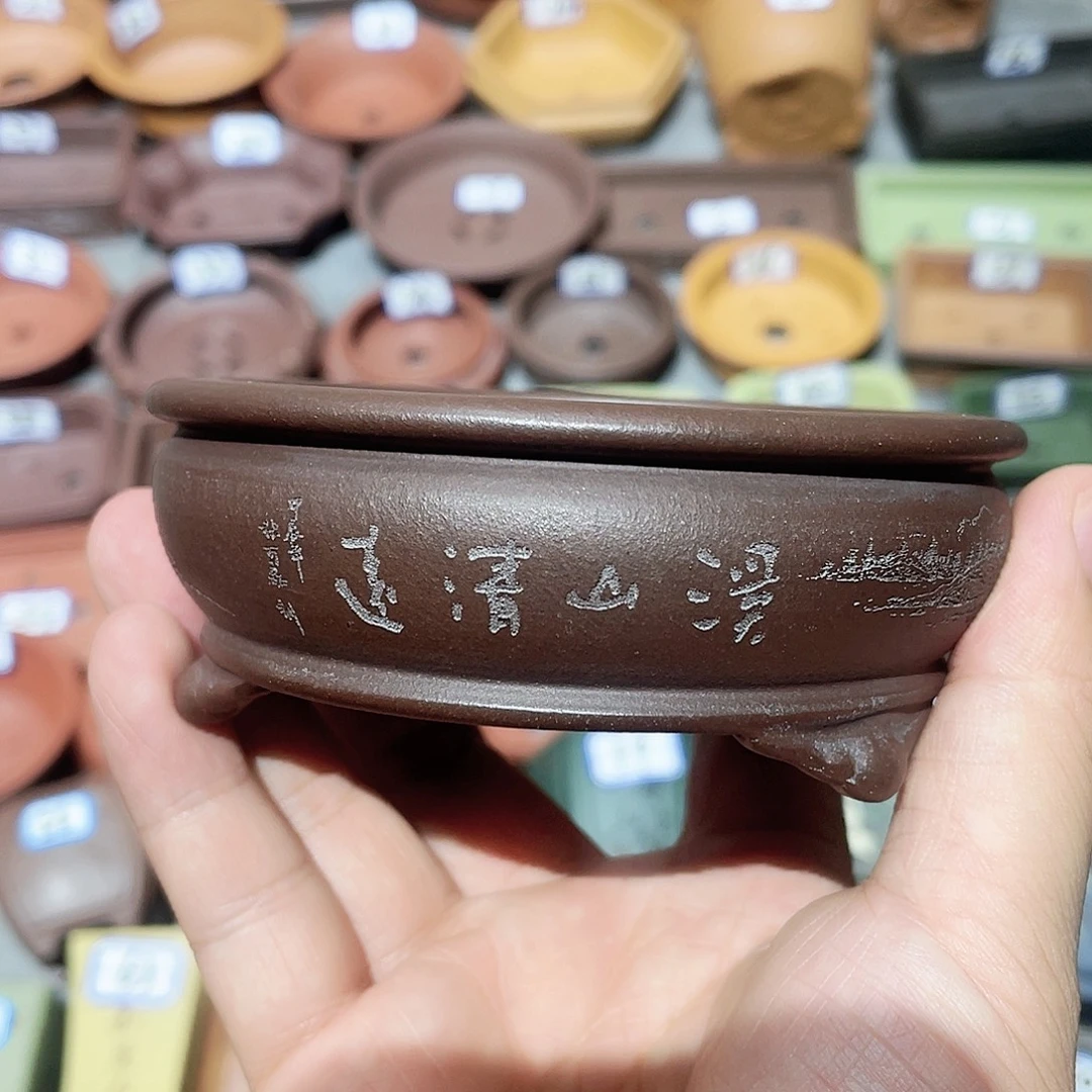 紫砂小盆8.5*2.8cmmmm
