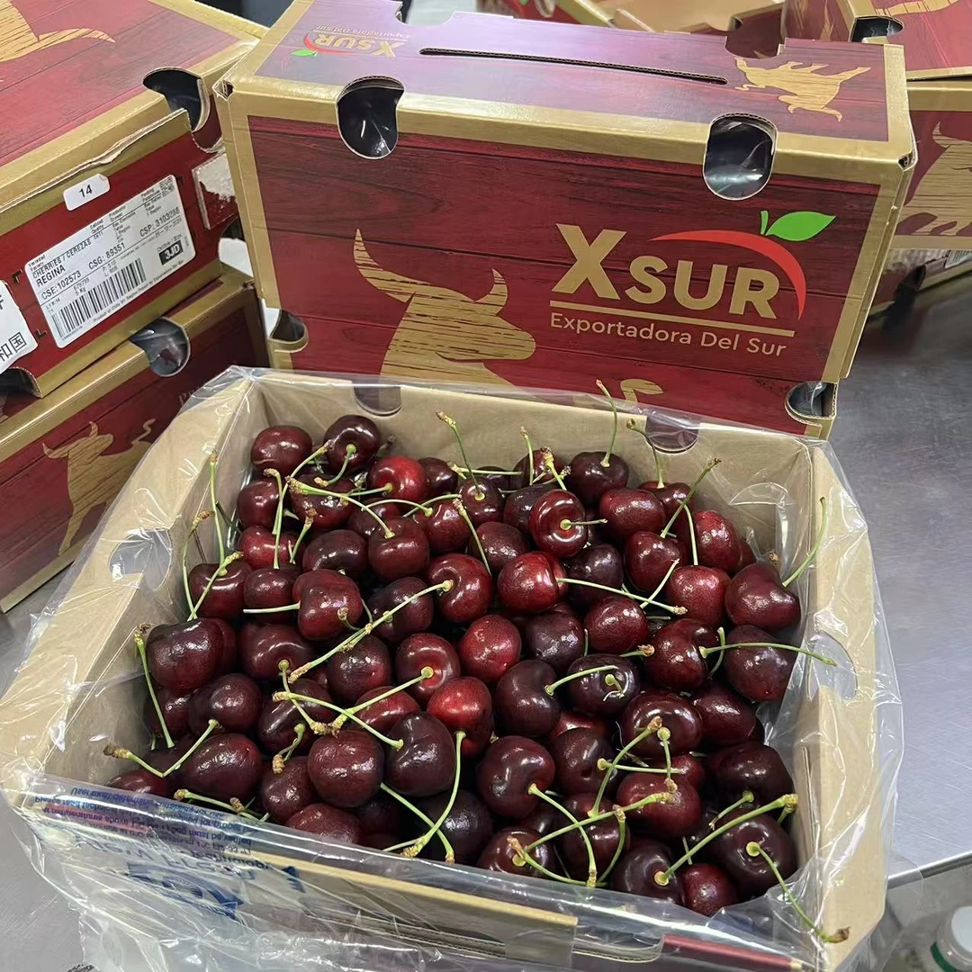 【乐鲜果园】智利海运瑞吉娜3J车厘子5斤装进口樱桃 内附果径卡