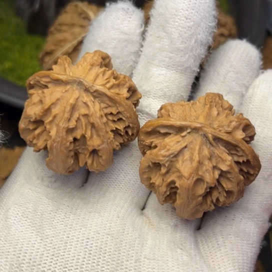 把件文玩核桃秦岭核桃5