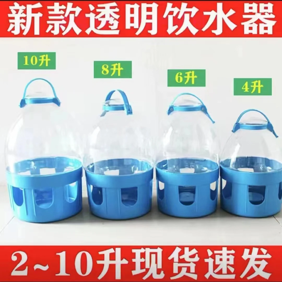 鸽子红字透明水壶大提手加热器专用