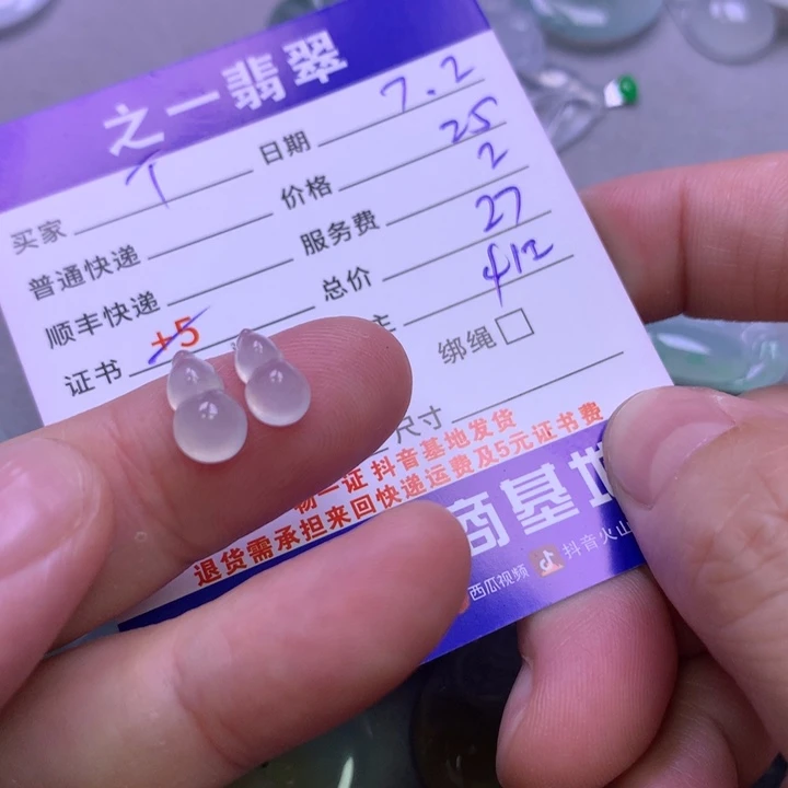 翡翠未镶嵌颈饰T*Y