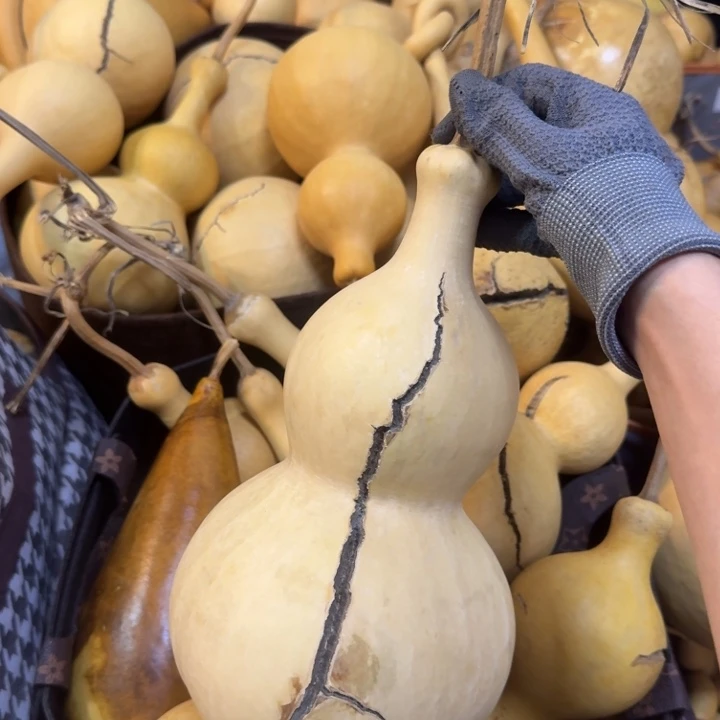 代***硕三醋酯纤维啦啦健健康康健健康康健健康康