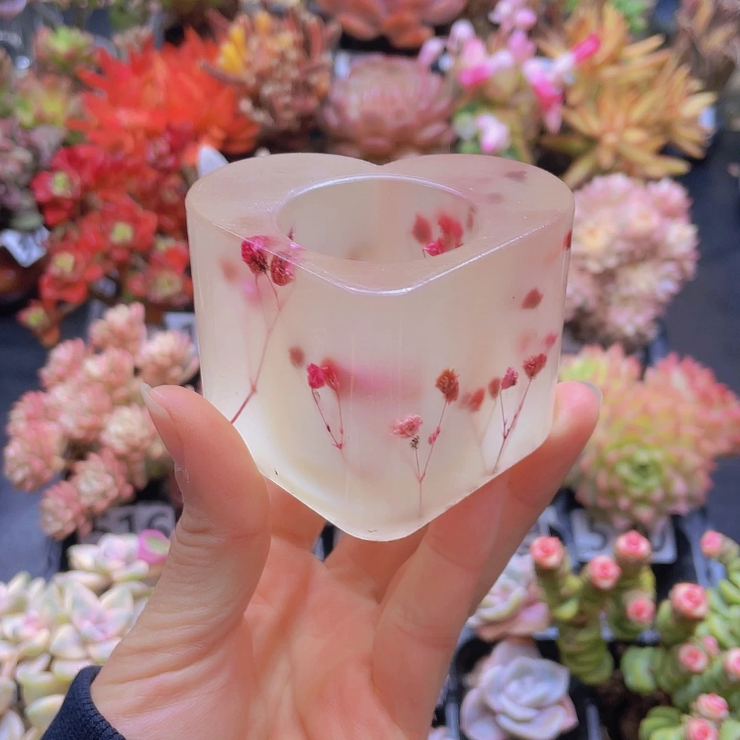 花钱花钱花钱花钱花钱