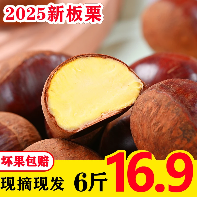 【山农自种】新鲜丹东板栗6斤现摘现发2025年生板栗香甜软糯难剥皮
