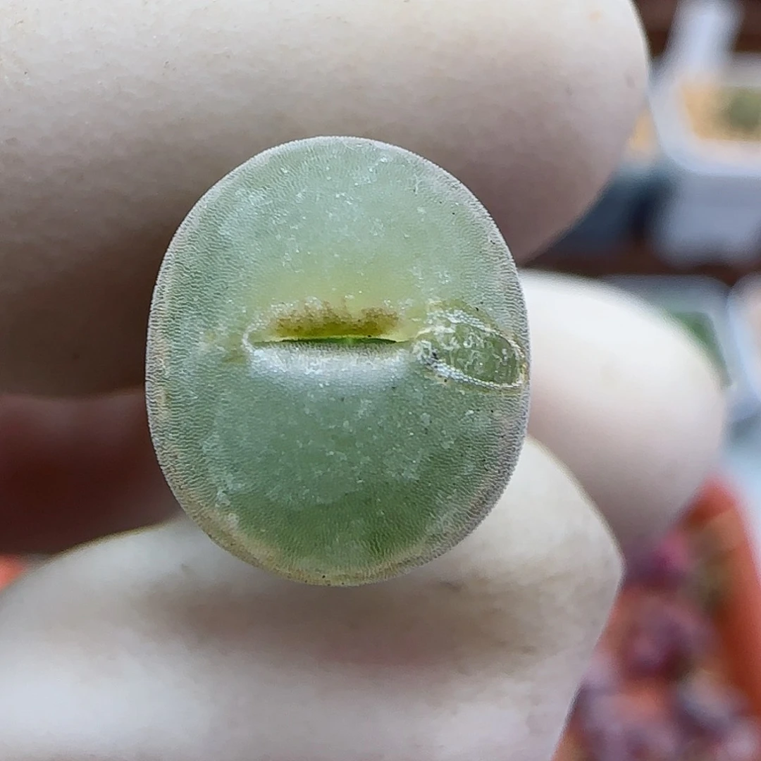 275福利福利福利