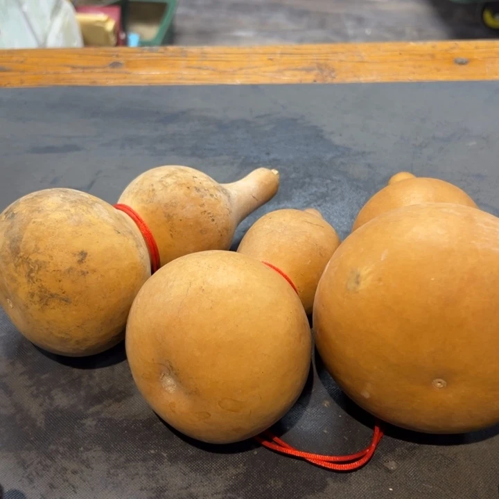 胡***杨瓷片拾六家的瓷器瓷器